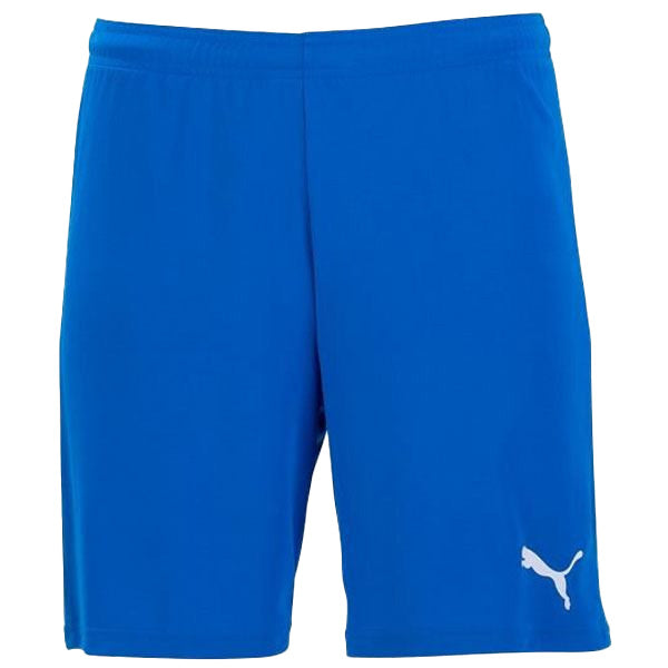 Puma_Team_Goal_Shorts_BlueLemonade