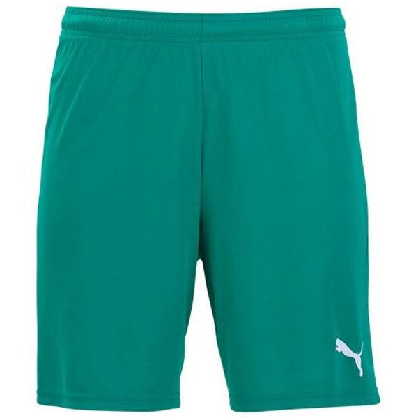 Puma_Team_Goal_Shorts_Green