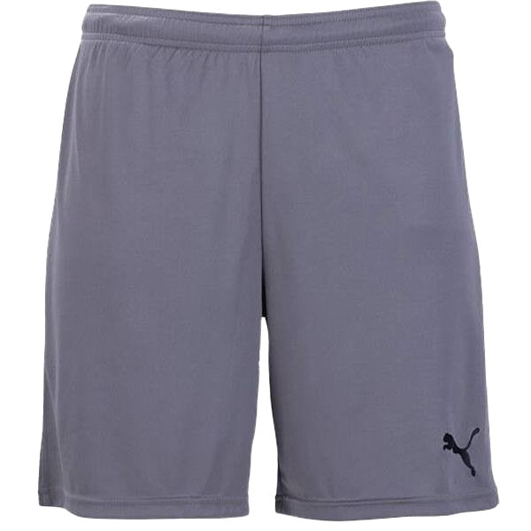 Puma_Team_Goal_Shorts_Grey